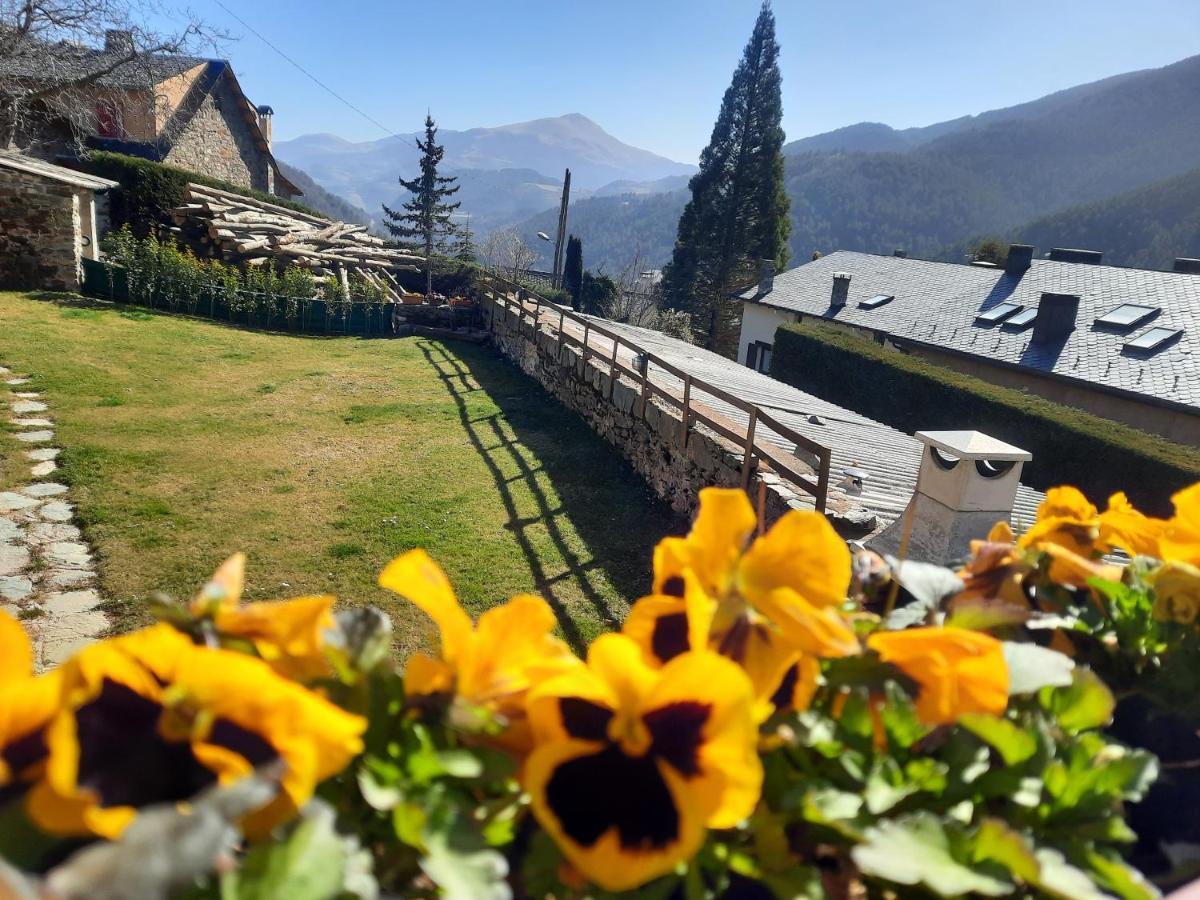Cal Masuret Villa Planoles Dış mekan fotoğraf
